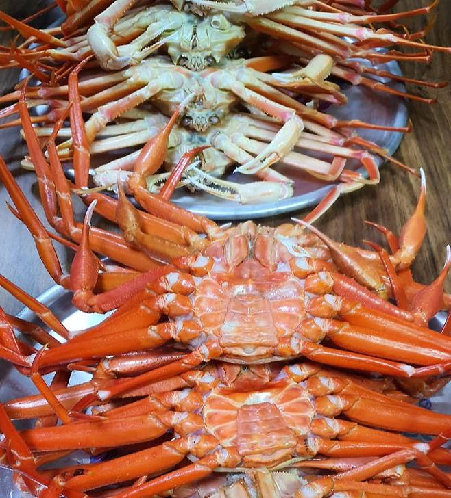울진 대게와 붉은대게