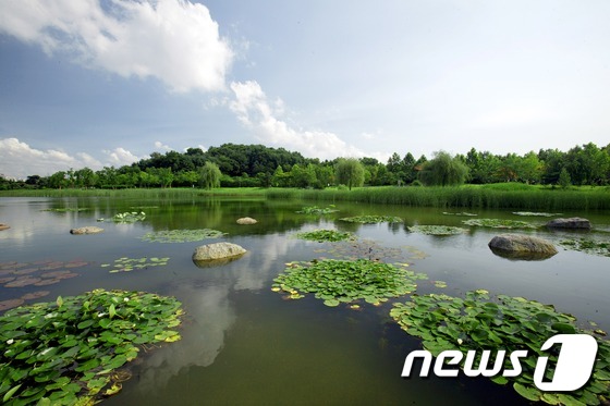 일산 호수공원 /뉴스1 DB © News1