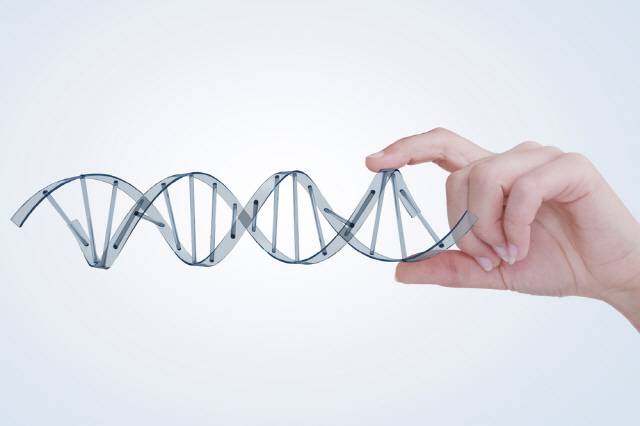 유방암 발병에 관여하는 유전자가 발견됐다./클립아트코리아 제공