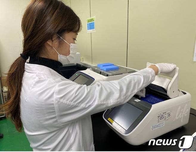 전남보건환경연구원 연구원들이 감염병에 대한 검사를 진행하고 있는 모습.(전남도 제공) 2020.1.3/뉴스1 © News1
