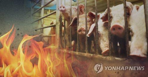 돼지 농장 화재. [연합뉴스 자료사진]