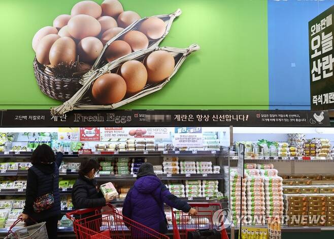 신선란·달걀가공품 한시적 관세 면제 20일 오후 서울 시내 한 대형마트 달걀 판매대. [연합뉴스 자료사진]