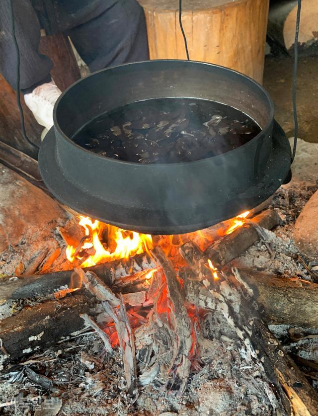 장작불을 피워 관람객이 직접 끓여 먹는 기청산식물원의 감태나무잎 차. 찻값은 기본 1,000원이다.