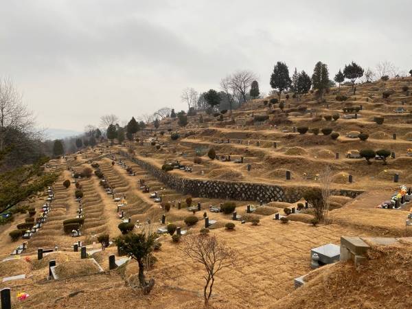 구리시 재난안전대책본부(이하 구리시 재대본, 본부장 안승남 구리시장)는 지난해 추석에 이어 이번 설 연휴 기간(2.11.~2.14.)에도 구리시립묘지를 전면 폐쇄하기로 결정했다. / 사진제공=구리시