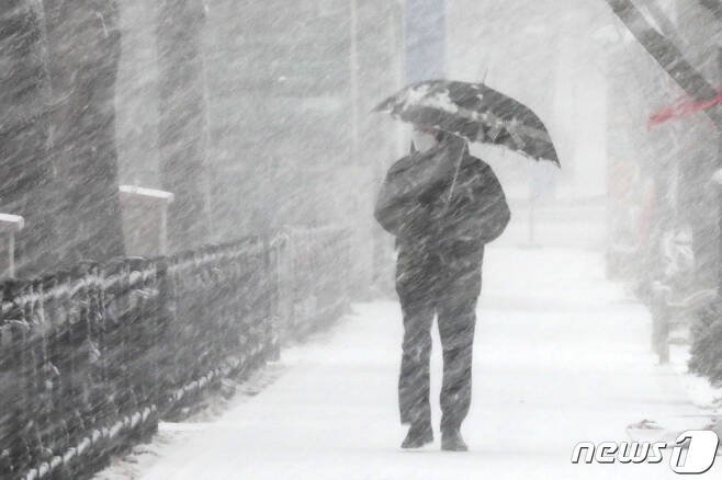 28일 오전 경기도 과천시내 거리에 눈이 세차게 내리고 있다. 2021.1.28 /뉴스1 © News1 조태형 기자