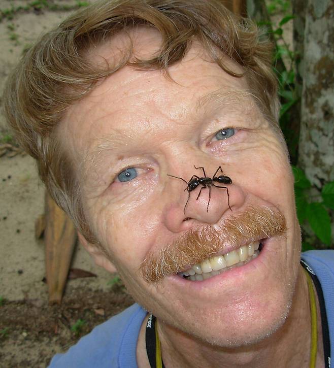 저스틴 슈미트는 곤충의 침에 쏘일 때 느끼는 통증의 강도를 정리한 ‘슈미트 통증 지수’를 만들었다. 초사흘달 제공