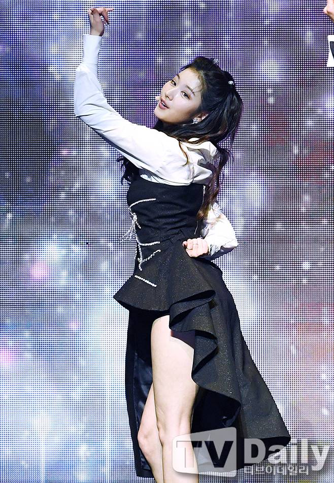 티브이데일리 포토