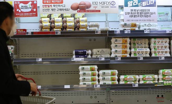 지난 1일 서울의 한 마트에서 고객이 달걀을 고르고 있다. [연합뉴스]