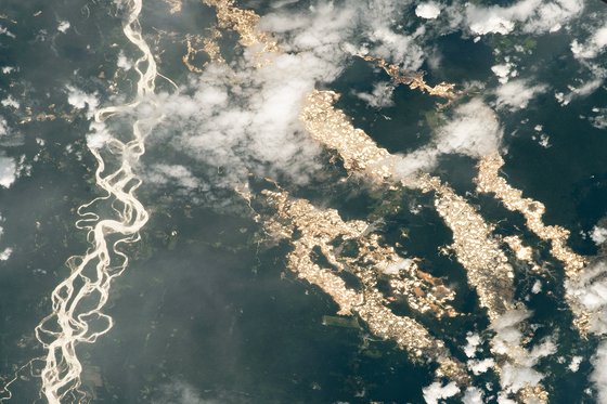 국제우주정거장(ISS)에 탑승한 우주비행사가 페루 남동부 아마존 지역의 수많은 웅덩이를 촬영한 모습. 금 채굴을 위해 판 웅덩이들이 햇빛에 반사돼 금빛으로 빛나고 있다. NASA