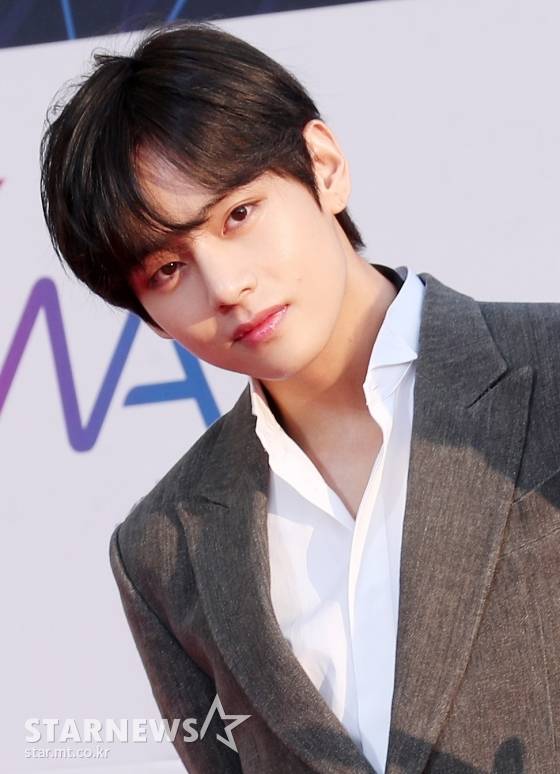 방탄소년단 뷔(BTS V) /사진=스타뉴스