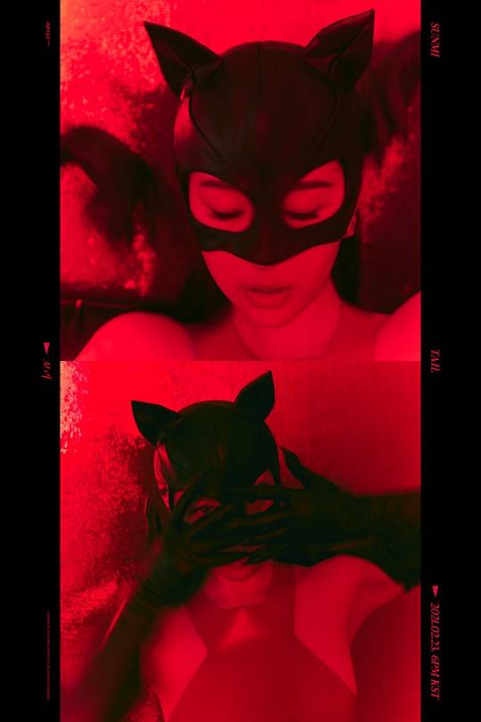 Singer Sunmi showcases mysterious charm at Concepts Photo of new Album TailSunmi released a video with Concepts Photo of the new Album Tail on official Twitter on the 18th.In the open photo, Sunmi took a brainwashing pose surrounded by a black cat and produced a mysterious and intense image.Sunmi, who attracted attention with her unconventional costume, deep down to her waist, transformed into a catwoman under a red background in another photo and conveyed her Mystery charm.Sunmi released a track list and a song Flower Like Concepts Photo ahead of the release of the new Album Tail scheduled for the 23rd.Sunmis new Album Tail, which will be comeback in eight months after the single Portrait Night released in June last year, will be released on various soundtrack sites at 6 pm on the 23rd.