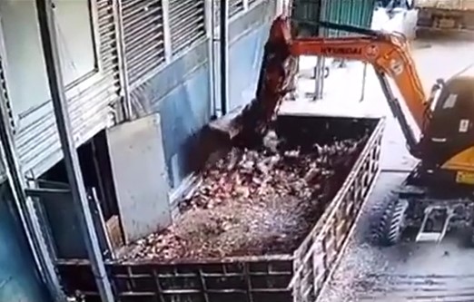 경기도 한 닭농장에서 AI 확산을 막기 위해, 포크레인을 이용한 살처분이 진행되고 있다./사진=동물권행동 카라