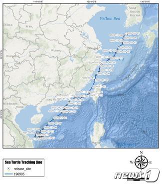 2020년 9월 중문에서 방류된  푸른바다거북 새끼의 이동경로(해양수산부 제공)© 뉴스1