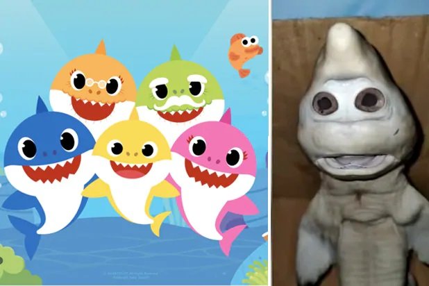 한국 캐릭터 ‘아기상어’와 닮은 인도네시아의 새끼 상어. 사진=핑크퐁/트위터 갈무리