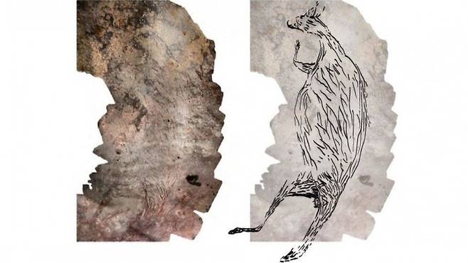 데미언 핀치 호주 멜버른대 지구과학과 연구원팀이 호주 서부 킴벌리에서 1만7300년 된 캥거루 암벽화를 발견했다. 데미언 핀치 제공