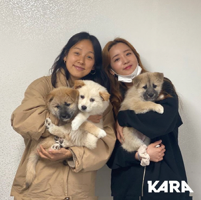 Singer Lee Hyori and Apink Yoon Bomi, actor Gong Min-jung participated in the puppy rescue activities and made a good influence.On the 10th, KARA Instagram, an animal rights group, said, Do you know the life of a rural dog who is alienated with a 1m neckline?And the growing number of wandering dogs. Jeju Island is in the midst of a hovering dog problem.The abandoned dogs become Stray Dogs, and the neglected country dogs wander into the mountains and become Stray Dogs. People are often treated as troublesome and pointed out as gray dogs, but the Stray Dogs problem can not be denied.Even if it was not intentional at first, he said.Jeju Island, a dog dog mother dog who lived in a short line and lived in a yard, recently gave birth to seven young babies.Younger Chilther and Sister also told of the situation of Puppy in Danger, who was almost a Stray Dogs.But fortunately I was able to meet good people, KARA said.Lee Hyori, actor Gong Min-jung, and Apink Bomi came to help these country dogs and young people who came across them. The three people decided to make their mother dogs look after their neutralization surgery and to become their subjects for seven young people and to find their family for a lifetime.According to KARA, four puppys are currently socializing in the impounds, including the home of the actor, and the three puppys are about to enter the adoption cafe after having an isolation period at the KARA center.At this time, Lee Hyori is MBC What do you do when you play?Linda, Biryong and Ragon, which were used at the time of the project group sprout three , were given to the puppy by a new name.KARA said, We want to find a good family for the rural poppy Sam Brother and Sister named by Lee Hyori. We hope that Stray Dogs will no longer be mass-produced and the country dogs will not be left unattended. 