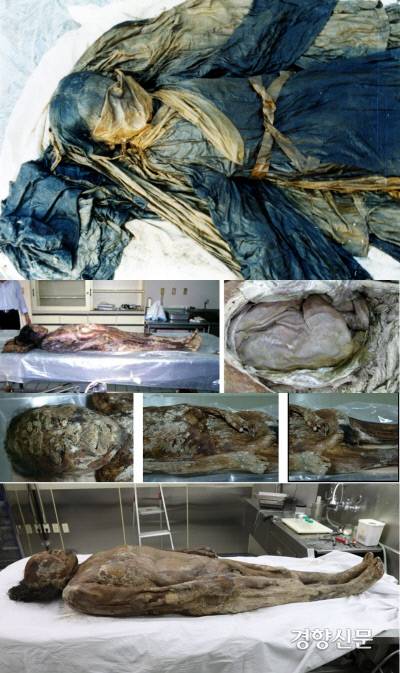 조선시대에 조성된 대표적인 미라들. 위부터 2001년 발굴된 ‘소년미라(윤호)’와 파평 윤씨 모자 미라(2002년), 학봉장군 미라(2004년), 김의정(가칭) 미라(2016년). 조선시대 미라는 내부 장기가 온전히 보존되어 있어 학술적인 가치가 크다.|단국대박물관·김한겸 교수 제공