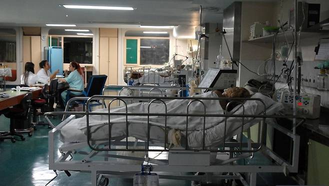 브라질 리우데자네이루 시내 병원 중환자실 브라질에서 지금까지 보고된 코로나19 사망자 가운데 7만2천여명이 중환자실 병상 부족으로 제대로 치료를 받지 못하고 사망한 것으로 나타났다. [국영 뉴스통신 아젠시아 브라질]