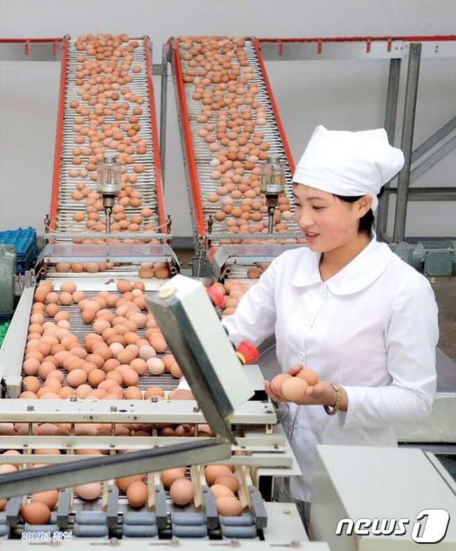 달걀 공장에서 일하는 북한 여성.(대외 선전매체 '류경' 갈무리)© 뉴스1