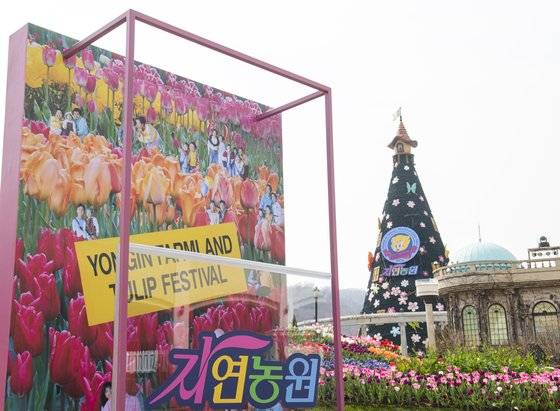 개장 45주년을 맞아 에버랜드 대표 정원인 포시즌스가든에 '자연농원 오마주 가든'을 조성했다. 사진 에버랜드