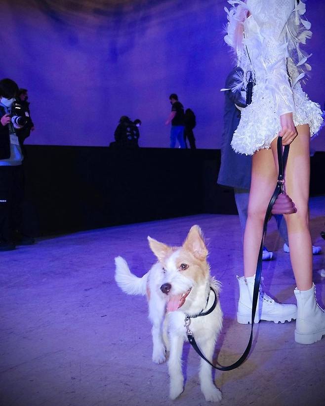 Group BLACKPINK Rosé has revealed a friendly recent situation with Pet Hank.Rosé posted several photos on his Instagram account on March 31, along with a puppy emoji.The released photo shows Rosé, who is waiting below before the stage, posing with his Pet Hank.The cute Tank and the appearance of Rosé holding him as if he were precious give him warmth.Earlier, Rosé adopted Tank, a dog that was abandoned through a shelter last December; Tank, including Rosé, is also receiving the love and attention of global fans.Meanwhile, Rosé appeared on Japanese terrestrial Nihon Terevi Similar Kiri earlier in the day, and also appeared on NBCs Kelly Clarkson Show on the 29th (local time) to decorate the talk show and stage.