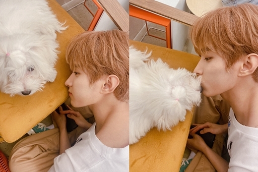 Group Seventeen member DK showed off superior visuals.On the 8th, DK posted a number of photos on the official TV of Seventeen with the article I hope to be Haru warm Haru today and beautiful spring.In the photo, DK is having a good time with puppy.DK matches white rebound tee and beige pants to create a neat look and show a look that matches bright hair.DK, who leans against a chair and looks at the puppy with a friendly eye, makes even the fan heart pound, especially the veiled jawline and nose that look like a sideline, overwhelms the gaze.The netizen who saw this responded such as If I am that puppy, I stop my heart and Good DK who loves animals.
