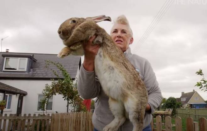 다리우스와 에드워즈. 유튜브 채널 'CBC Docs' 캡처