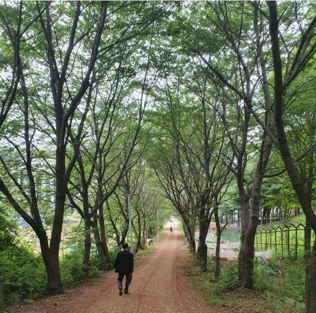 동천마을 청동기 유적지 숲길. 한 남성이 유적지에서 뷰티거리 방향으로 걸어가고 있다.