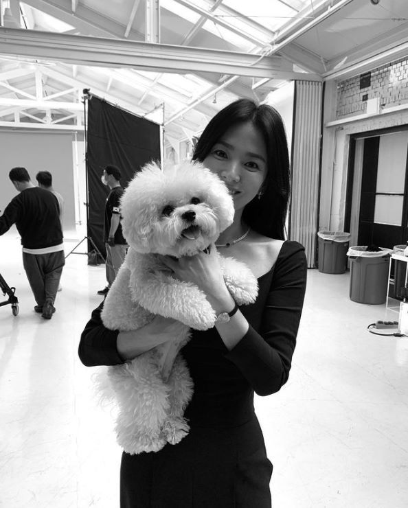 Seoul = = Actor Song Hye-kyo took a picture with cute Pet.Song Hye-kyo posted a black and white photo on his Instagram account on Saturday with an article entitled With Ruby.In the photo, Song Hye-kyo is smiling with a puppy in his arms at a place that looks like a shooting scene.Over the years, the beautiful looks that are constantly dazzling attract attention.Many celebrity acquaintances commented on this.Lee Jin, known as his best friend, showed his affection for his friend with a heart, and Song Yoon-a revealed his friendhood by saying, You went out with Ruby mother.Another best friend, Ok Joo-hyun, also said, Ruby was huge, and Park Sol-mi also praised Song Hye-kyos beautiful look.Meanwhile, Song Hye-kyo is scheduled to return to the house theater with SBS new drama I am breaking up now which is broadcasted in the second half of this year.