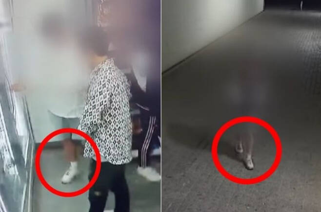 손정민 씨 친구 A씨가 흙이 묻어버렸다고 한 신발. [KBS 유튜브 캡처]