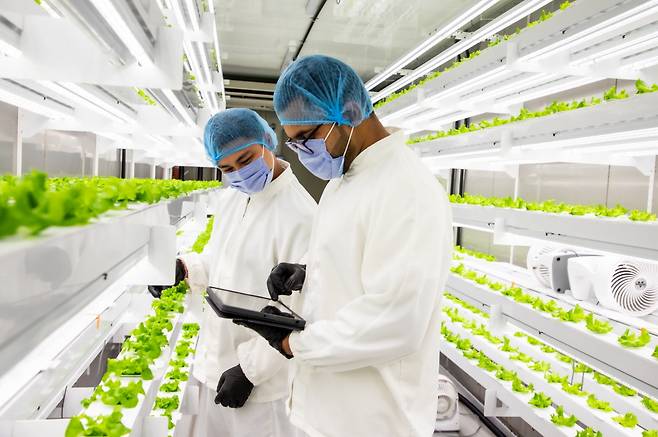 The interior of N.Thing’s smart farm container (N.Thing)