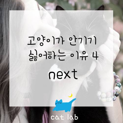 출처: https://1boon.kakao.com/catlab/catlab026