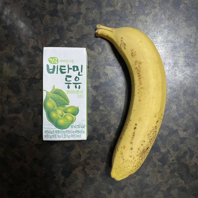 #제리어트 식단