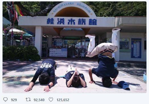 출처: 가쓰라하마 수족관 트위터