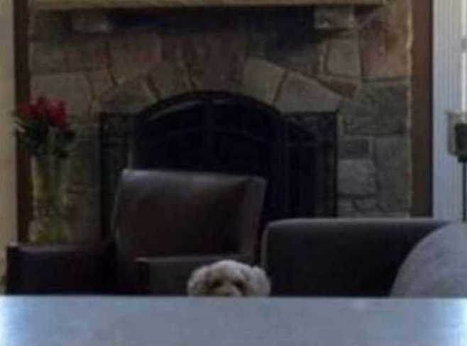 출처: 다음 카페 ∙ 도탁스