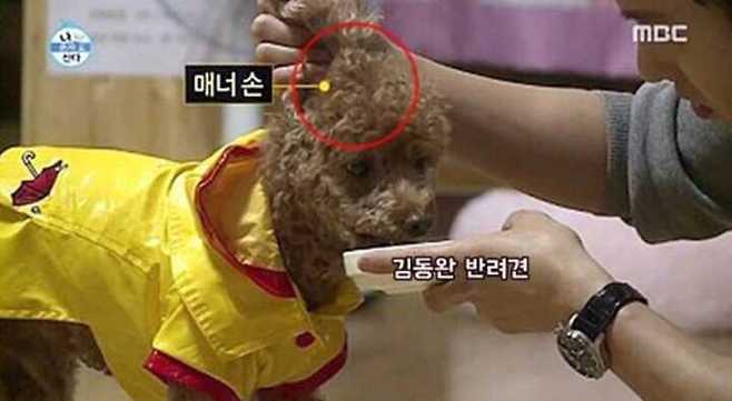 출처: 다음 카페 ∙ 쭉빵카페