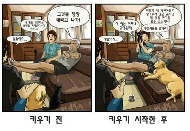 출처: 다음 카페 - 이종격투기