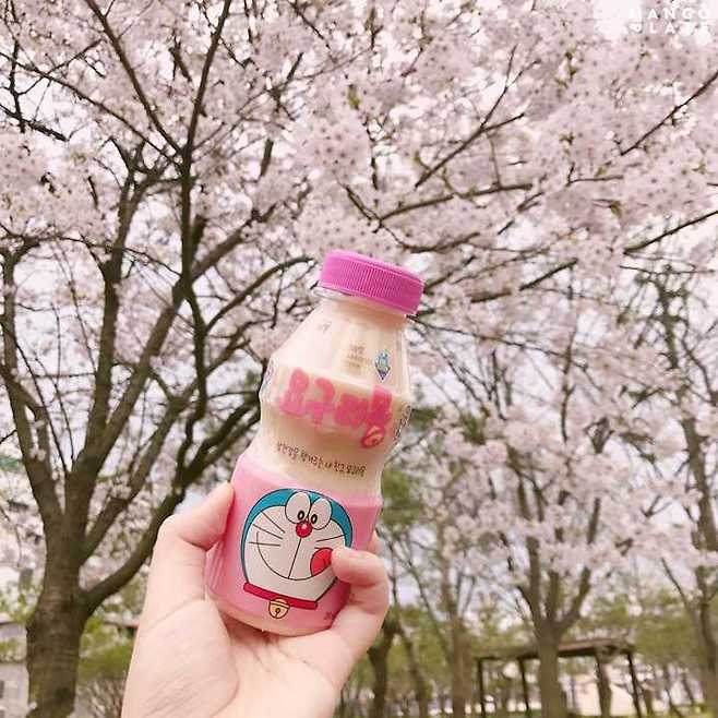 출처: Instagram @dldhs120