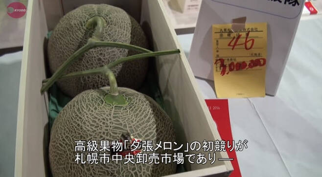 출처: https://www.japantimes.co.jp/news/2016/05/26/business/hokkaido-melons-fetch-record-%C2%A53-million-seasons-first-auction/#.W0f-39UzaUl