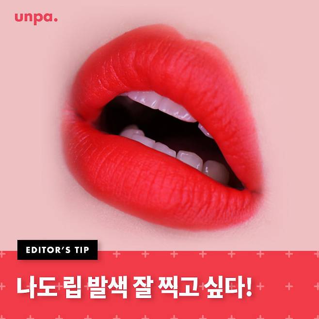 출처: 언니의파우치