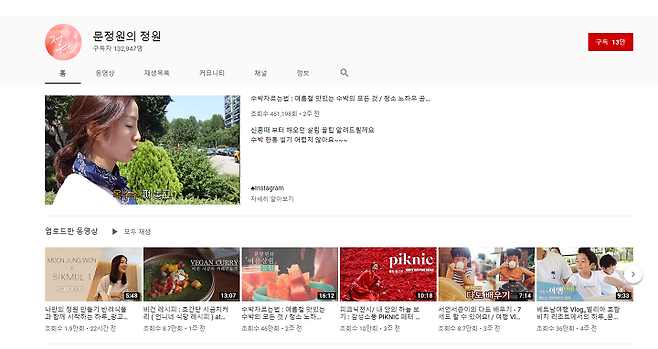 출처: 문정원 유튜브 캡처