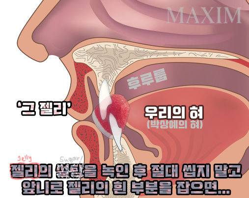출처: 박상예 에디터의 진짜 쓸데없는 포토샵질