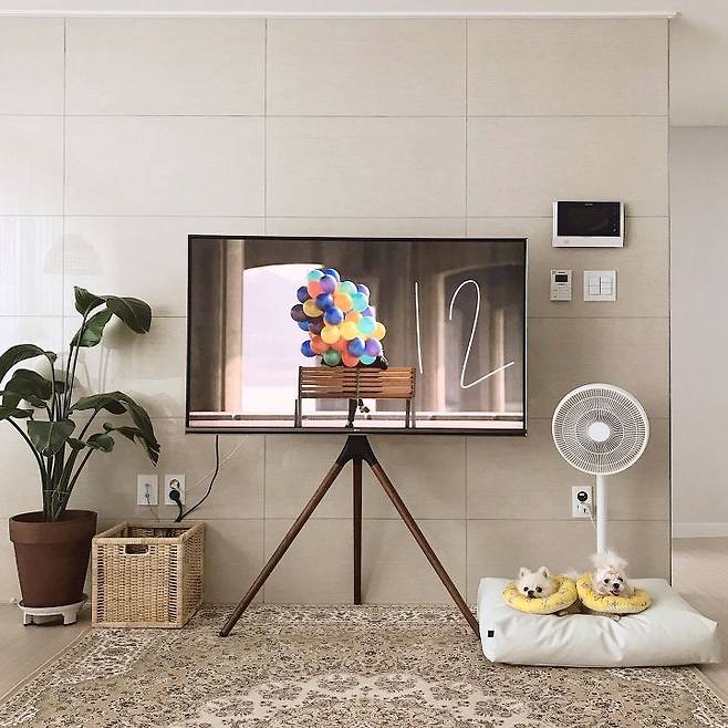 출처: <라탄바구니> 등 제품정보 모아보기(▲이미지클릭)