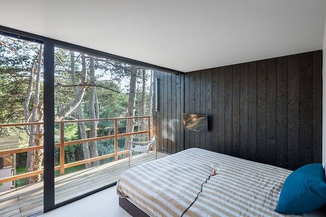 출처: ⓒCyril Folliot