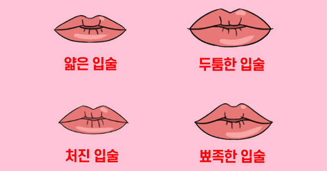출처: 당신의 입술 모양은 어떤가요?