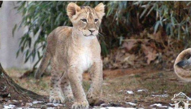 출처: https://www.instagram.com/p/CLy3yfxAoV0/?utm_source=ig_web_copy_link