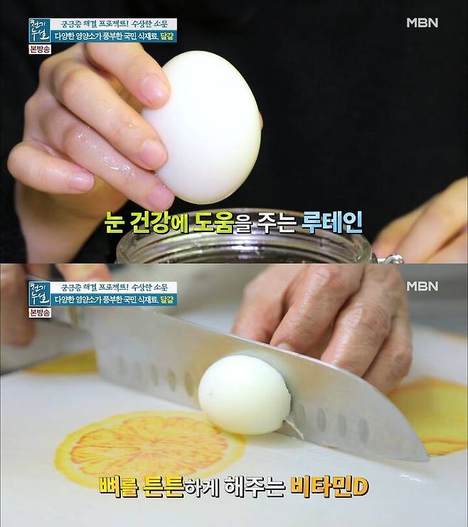 달걀 알끈이 지방 덩어리?' 계란에 대해 잘못 알려진 상식 | 1일 1짤