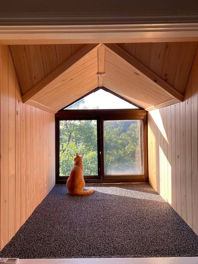 출처: 인테리어 정보 자세히 보러 가기 (▲이미지 클릭)