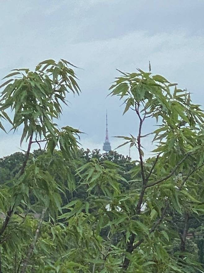 출처: 인테리어 정보 자세히 보러 가기 (▲이미지 클릭)