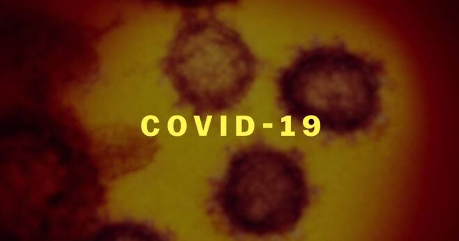 출처: '익스플레인: 코로나 바이러스를 해설하다'